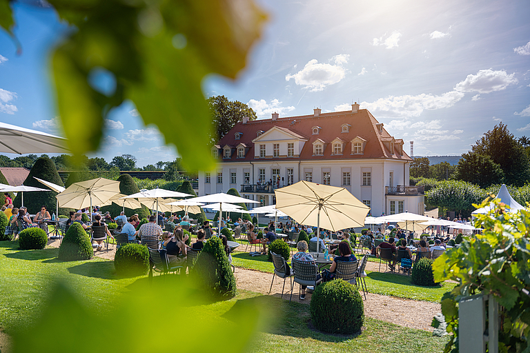 Besucher genießen Sekt im Park von Schloss Wackerbarth auf der Terrasse vor barocker Kulisse und Weinbergen bei sonnigem Wetter.