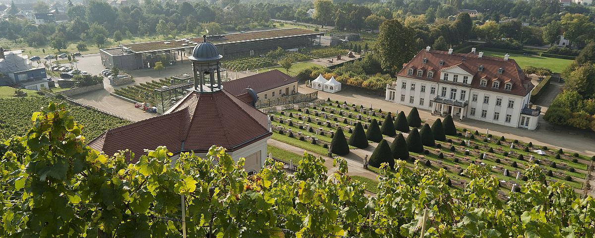 View from the vineyard to Wackerbarth Castle with baroque gardens in the sunlight.