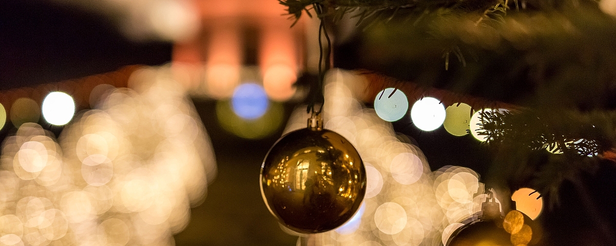 Schloss Wackerbarth Close-up of a golden Christmas tree ball on a branch, in the background the Belvedere surrounded by lights and Christmas illuminations at night.