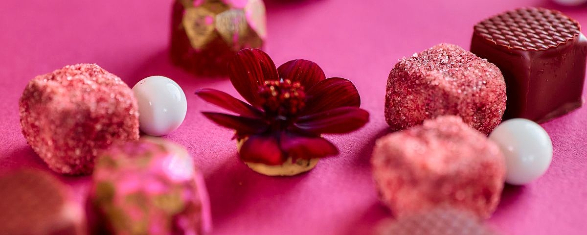 Edle Pralinen & Schokoladen – Genussmomente auf Schloss Wackerbarth