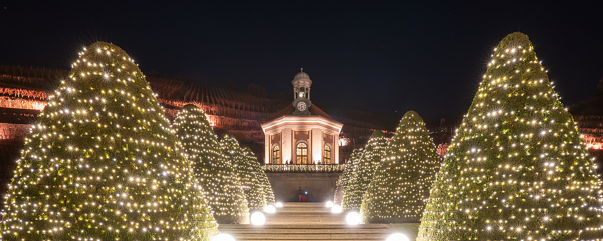 Erleuchtetes Belvedere von Schloss Wackerbarth Schloss Wackerbarth bei Nacht mit festlich beleuchteten Gartenbäumen und angestrahltem Belvedere im Hintergrund.