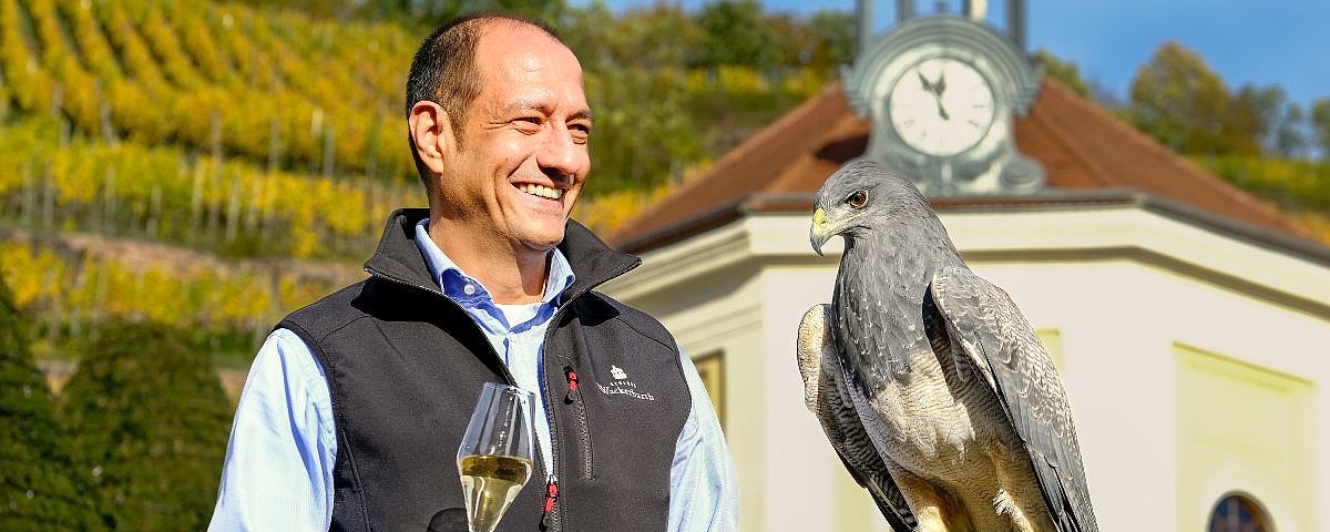  A man with a wine glass stands next to a bird of prey in front of the Belvedere at Wackerbarth Castle, with autumn vineyards in the background.
