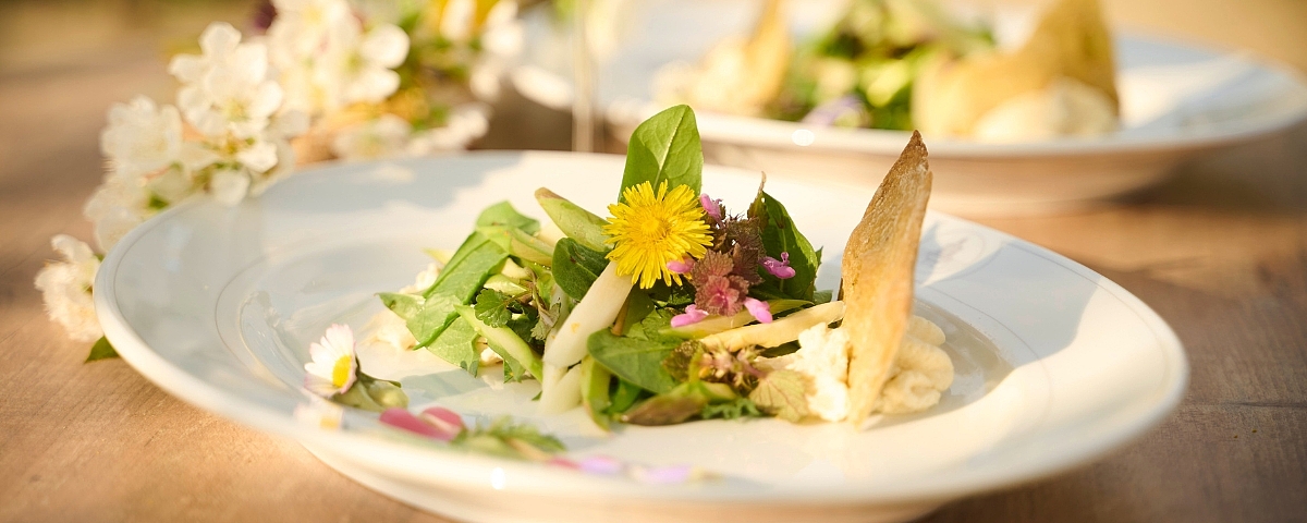 Sekt und Kräuter auf Schloss Wackerbarth  Frühlingshaft angerichteter Teller mit frischen Wildkräutern, essbaren Blüten und knuspriger Beilage auf Porzellan.