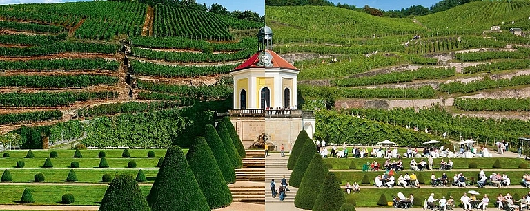 Das Schloss Wackerbarth, umgeben von beeindruckenden Terrassenweinbergen und dem historischen Belvedere, wurde von VINUM als eines der „Unique Wineries oft he World“ ausgezeichnet. Dieses Wahrzeichen der Sächsischen Weinstraße verbindet Tradition, moderne Weinproduktion und preisgekrönte Qualität.