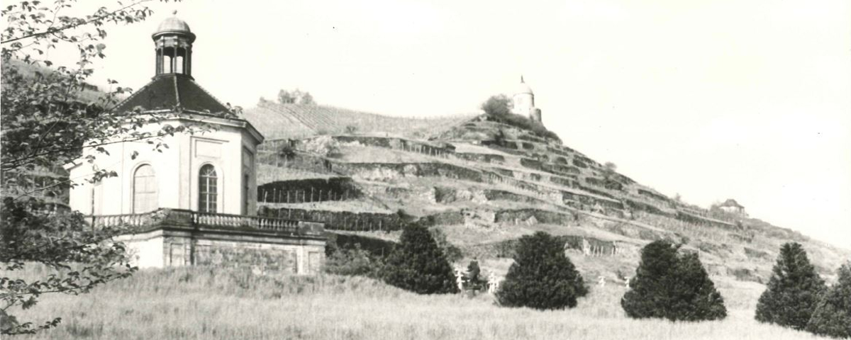 Geschichte von Schloss Wackerbarth – Weinbau mit Tradition seit Jahrhunderten