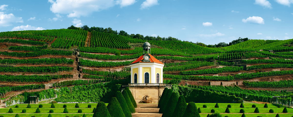 Schloss Wackerbarth – Barockes Weingut inmitten sächsischer Weinberge