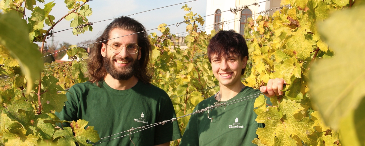 Zwei Auszubildende Winzer in grüner Arbeitskleidung stehen lachend inmitten goldgelber Weinreben.