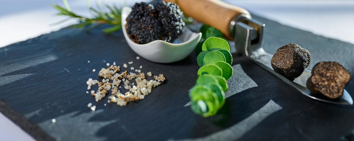 Schwarze Trüffel auf Schieferplatte mit grobem Trüffelsalz, frischen Kräutern und Hobel – Sekt und Trüffel auf Schloss Wackerbarth