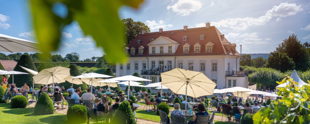 Menschen genießen Wein, Sekt und Federweißer auf der barocken Anlage von Schloss Wackerbarth zum Federweißerfest.