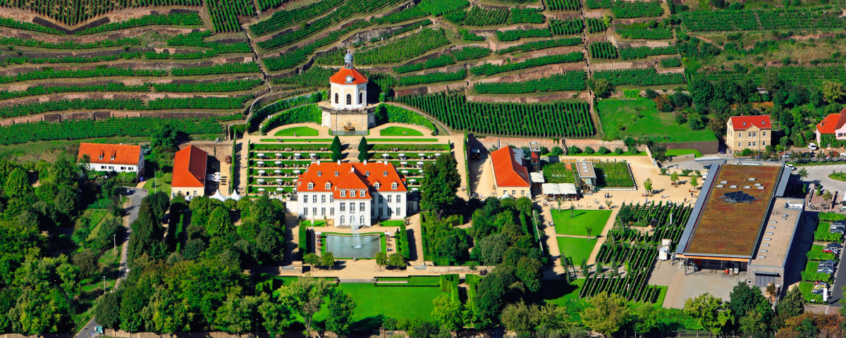 Luftaufnahme von Schloss Wackerbarth mit barocker Gartenanlage, Belvedere und umliegenden Weinbergen in Radebeul.