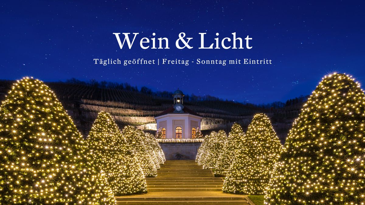 Wein & Licht