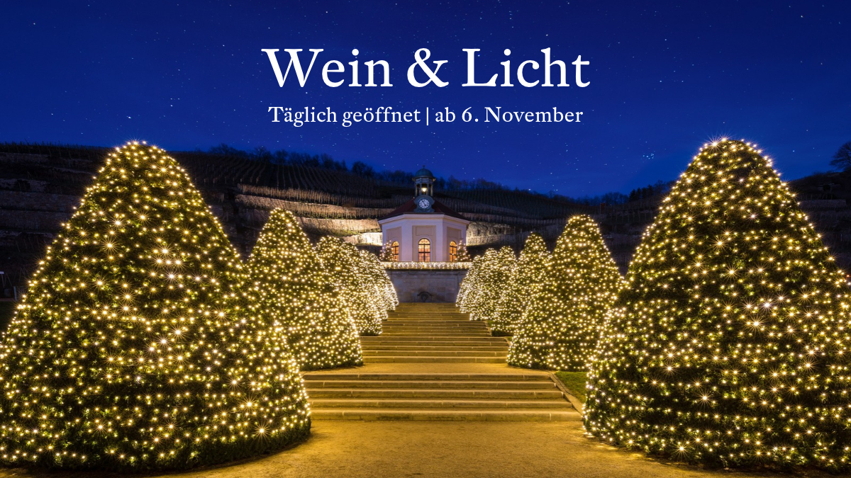 Wein & Licht auf Schloss Wackerbarth