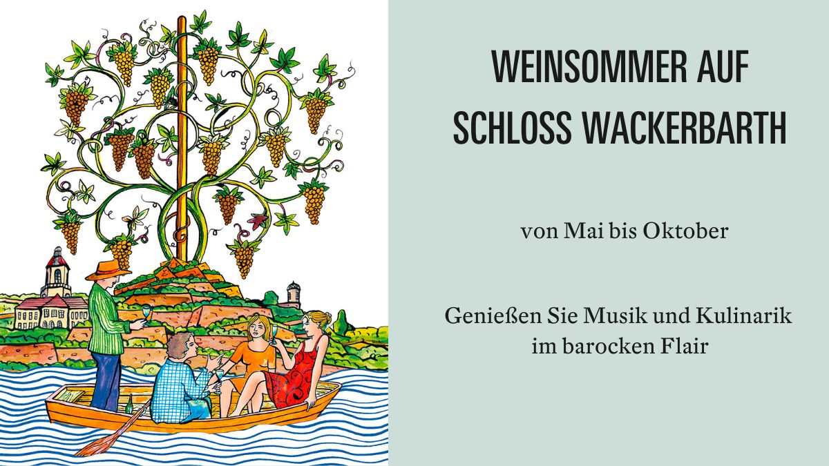 Weinsommer auf Schloss Wackerbarth