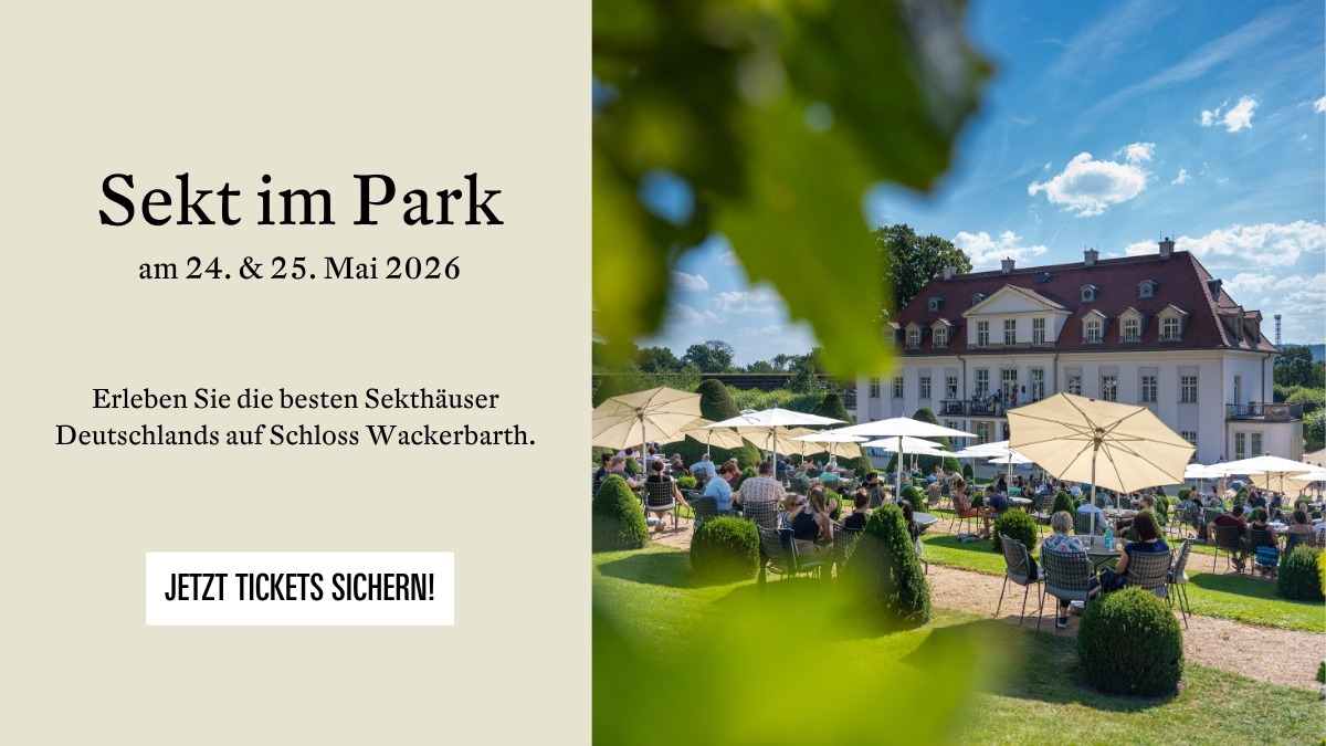Sekt im Park auf Schloss Wackerbarth – Besucher entspannen auf Liegestühlen mit Blick auf Schloss, Weinberge und Terrasse bei sonnigem Wetter.
