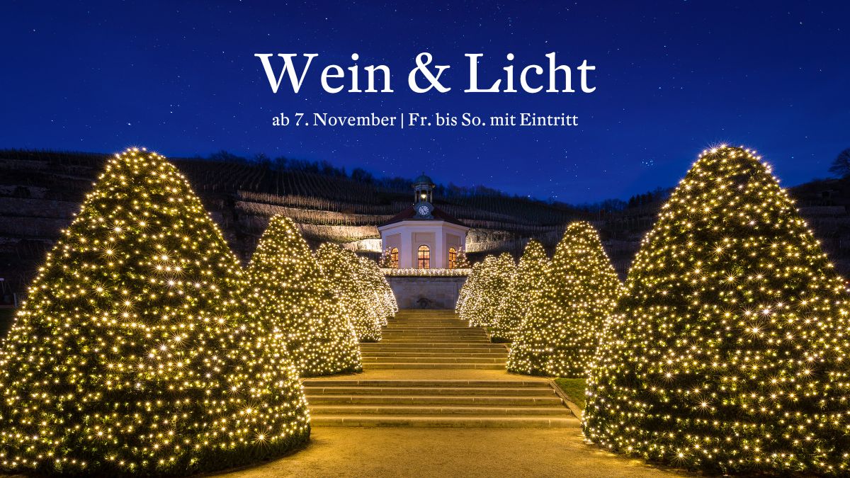Blick auf das Belvedere von Schloss Wackerbarth im Winter mit weihnachtlich beleuchteten Eiben