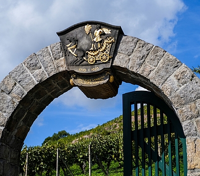 Wackerbarths Lagenwanderung